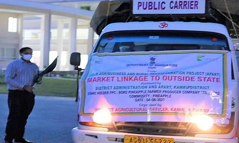 Assam's Kamrup District Exports 2.5 MT of Pineapples to Telengana State