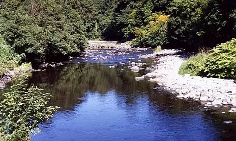 Have You Heard About River Roe? -The Shortest River in the World