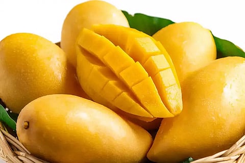Eat mangoes to lower sugar levels