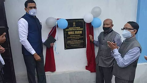Veterinary Minister Sanbor Shullai inaugurated liquid nitrogen plant, bull farm