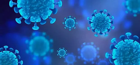 Meghalaya logs 10 more deaths from Coronavirus