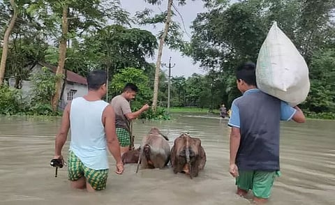 Water released from Bhutan Kurichu dam causes flood in Bongaigaon and Chirang district