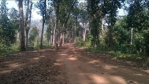 PGR lands
