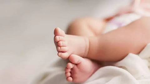 Birth rate falls, fertility rate remains unchanged