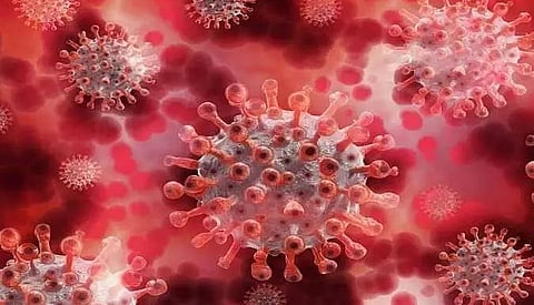 Assam registers 713 fresh COVID-19 cases on Thursday