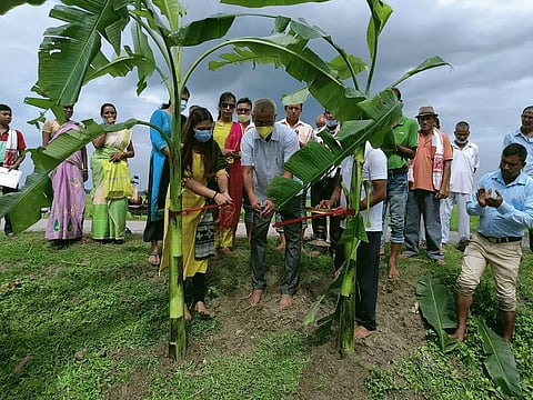 Rice Crop Cafeteria opened in Sonitpur district under APART