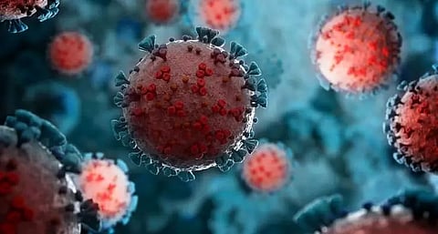 Assam registers 336 fresh COVID-19 cases on Sunday, recovery rate 97.67%