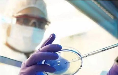 Meghalaya records 9 COVID deaths, 317 new cases