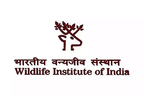 Wildlife Institute of India (WII) Recruitment 2021 - Project Associate – I Vacancy, Job Openings