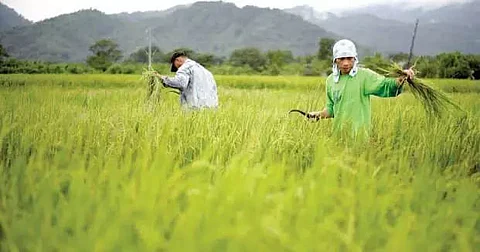 ICAR to organize campaign on food and nutrition for farmers in Tezpur
