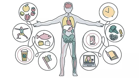 Here's how to optimize stress, sleep and immunity