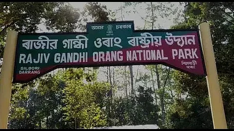 Rajiv Gandhi National Park To Be Renamed As Orang National Park