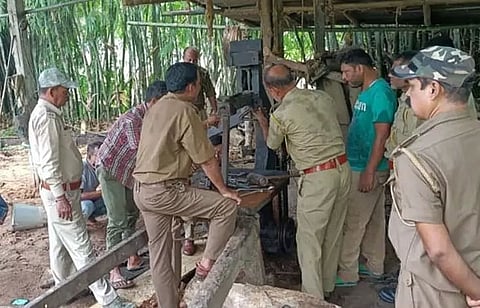 Nalbari forest officials busted two saw mills