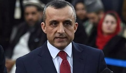 Taliban execute Amrullah Saleh's brother