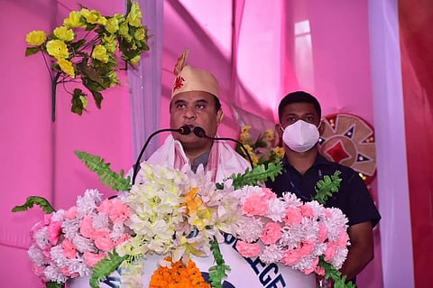 Assam Cabinet: Over 2000 Rhino Horns To Be Destroyed To Bust Myth Around It