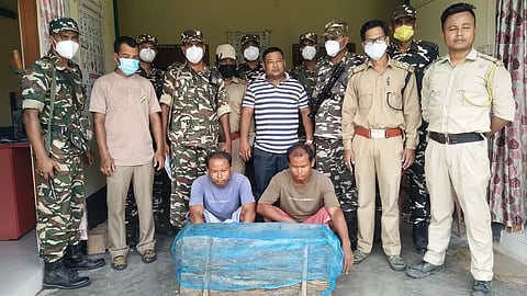 Two Tokay geckos seized in Barpeta, two arrested