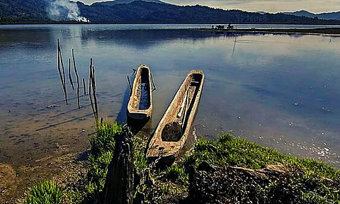 Source: Google