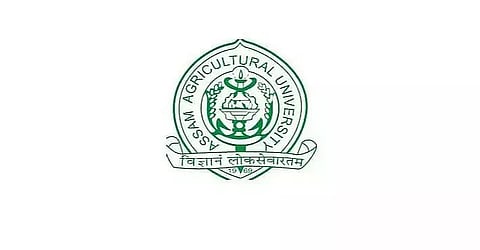 Assam Agricultural University Recruitment 2021 -Young Professional-II Vacancy, Job Openings