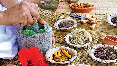 Ayurvedic Medical Organization (AMO) to promote and develop Ayurvedic system of medicine