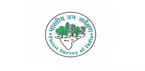 Forest Survey of India Recruitment 2021 - Senior Technical Assistant Vacancy, Job Openings