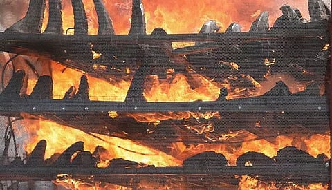Assam burns biggest stockpile of rhino horns in Bokakhat