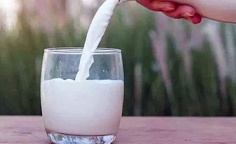 Is donkey milk good for your skin? Know Here