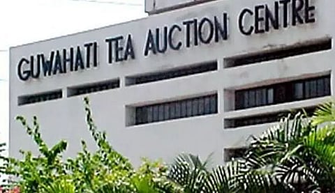 Guwahati Tea Auction Buyers Association moves Centre for review of 'Tea Act-1953'