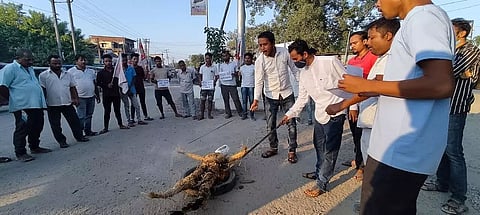 Duliajan All Assam Students' Union (AASU) burns Sherman Ali Ahmed's effigy