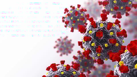 Meghalaya COVID tally rises to 1,281