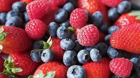 Late-night snacks to binge on, Check Here