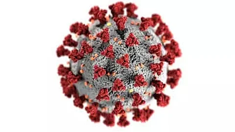 Overhyped science behind fake stem cell treatments for Covid: Study