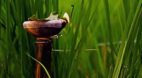 Kati Bihu celebrated across Assam