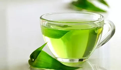 Nugong Banggo Kebang signs Green Tea Accord with stakeholders