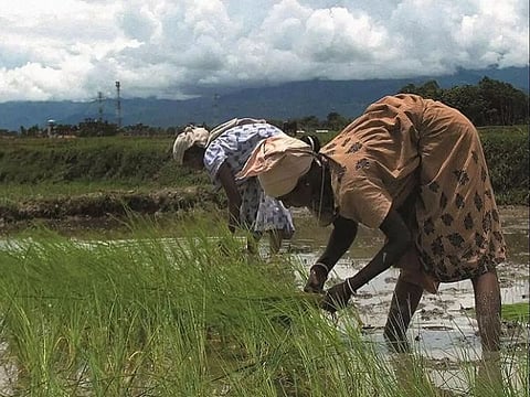 Monsoon 2021 expected to rescue India's agriculture in FY22