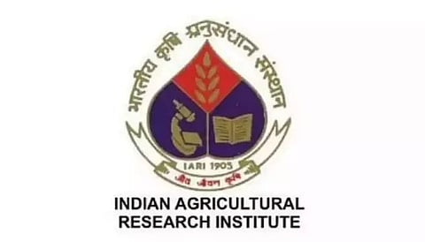 IARI Recruitment 2021 - 01 Young Professional-II Vacancy, Latest Jobs