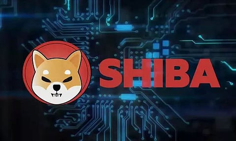 Shiba Inu Surpasses Dogecoin To Become No 1 Among Meme Cryptocurrencies