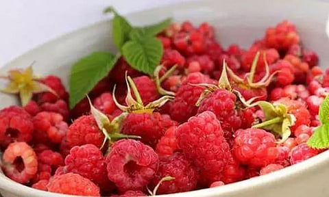 Foods to help induce labour naturally, Check Here