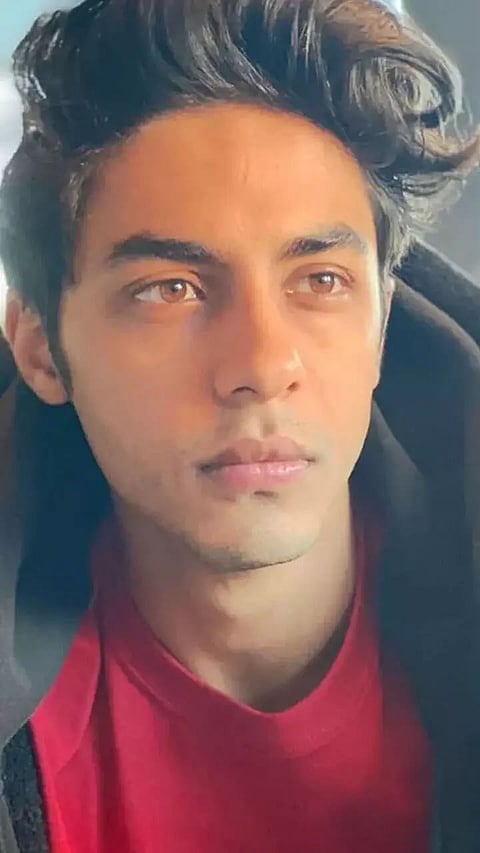 Top Schools & University Aryan Khan Went To