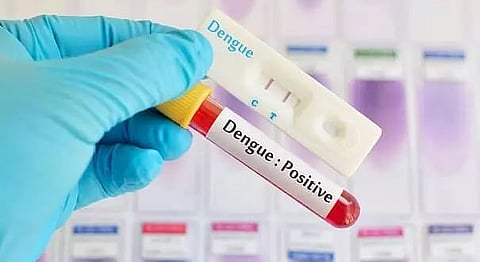 Centre rushes high-level teams to manage dengue in States