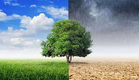 Economic costs of climate change in India