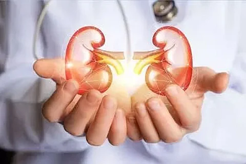 Diabetes drug can improve kidney function: Lancet