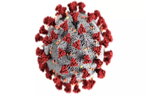 Africa's Covid cases surpass 8.55mn