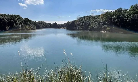Meghalaya CM Announces Rs 13 Cr Fund for Building of Nongkhnum, Asia's 2nd Largest River Island