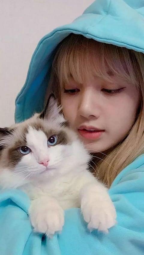 Most Adorable pics of BlackPink with their Pets