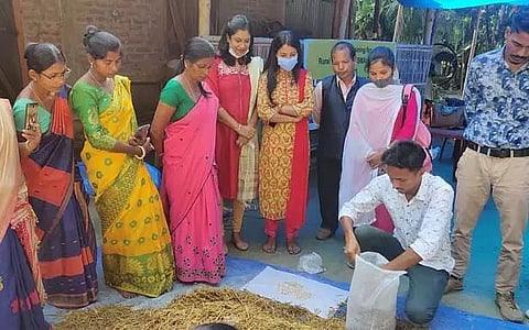 Training programme on mushroom production techniques organized in Sonitpur