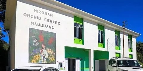 Mizoram Govt Sets Up Northeast's 1st Orchid Centre To Study & Conserve