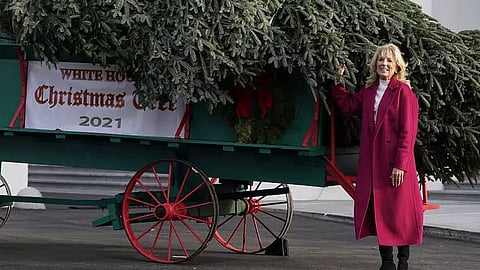 Jill Biden receives White House Christmas Tree