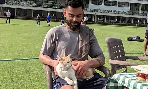 Virat Kohli meets 'Cool Cat'