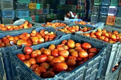 Tomato prices skyrocket in Chennai