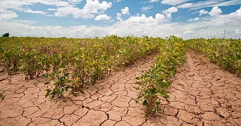 Climate change and agriculture